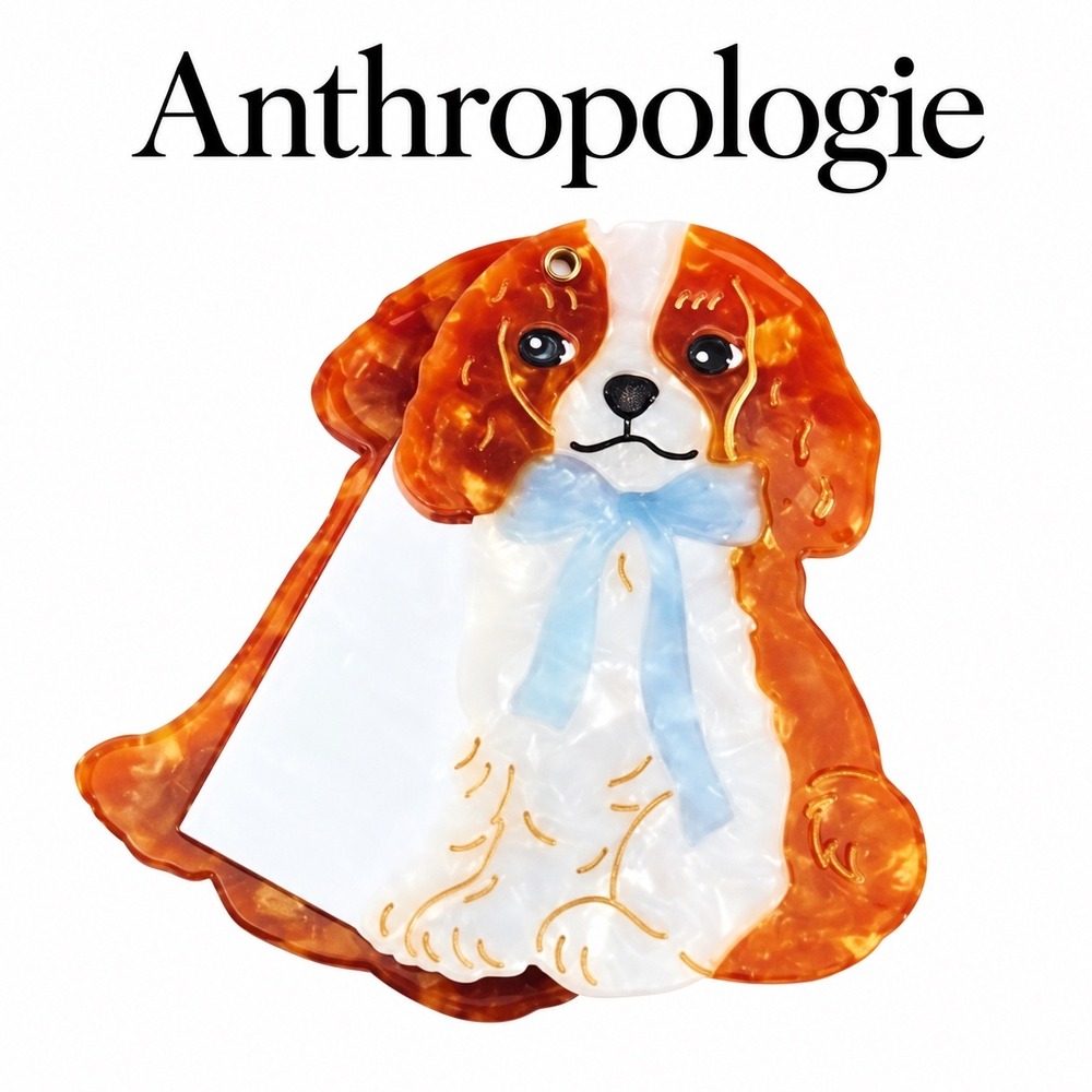 Solar Eclipse Brown Cavalier King Charles Spaniel Compact Mirror